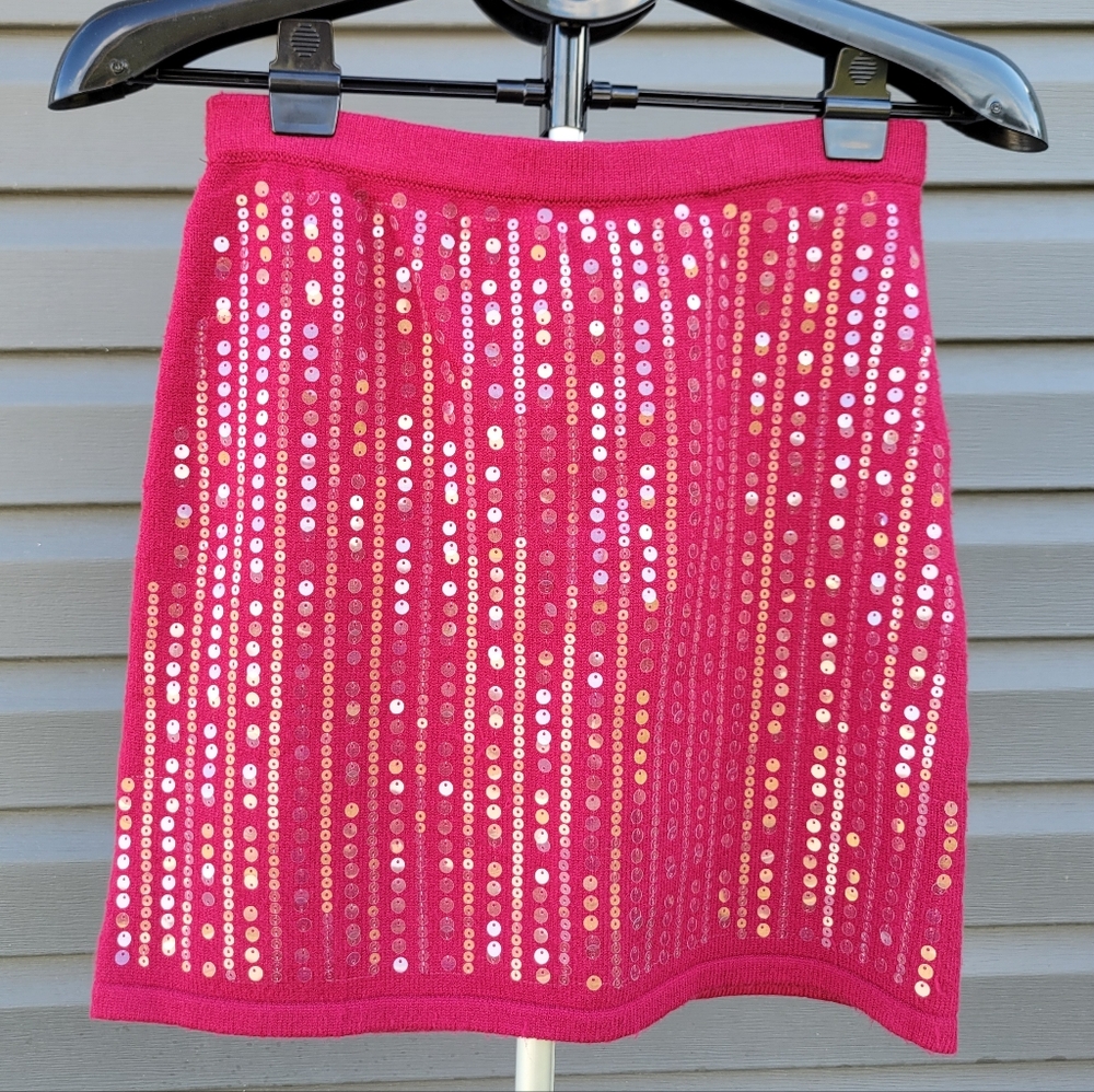NWT Sequin Embellished Skirt
